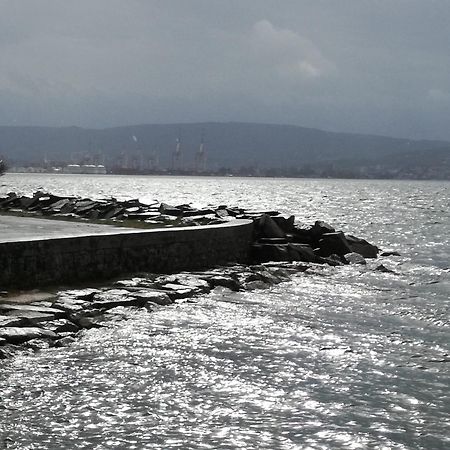 Guesthouse Skofije Ob Parenzani Spodnje Skofije Buitenkant foto